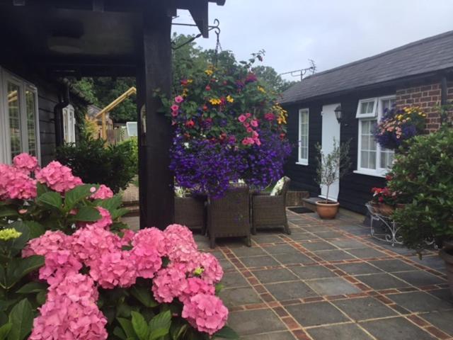 Rudgwick The Coach House B&B 외부 사진